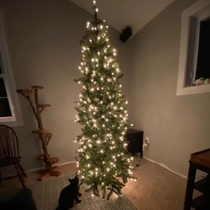 Meet your Posher, Jean